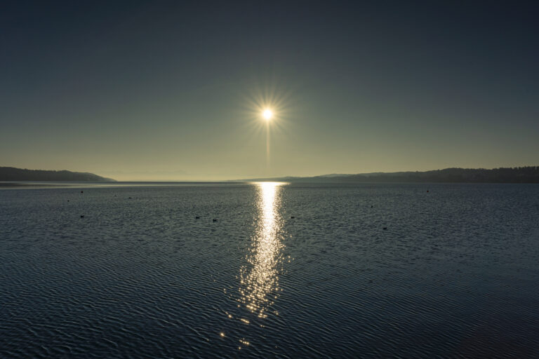 Wintersonne by Judith Grote