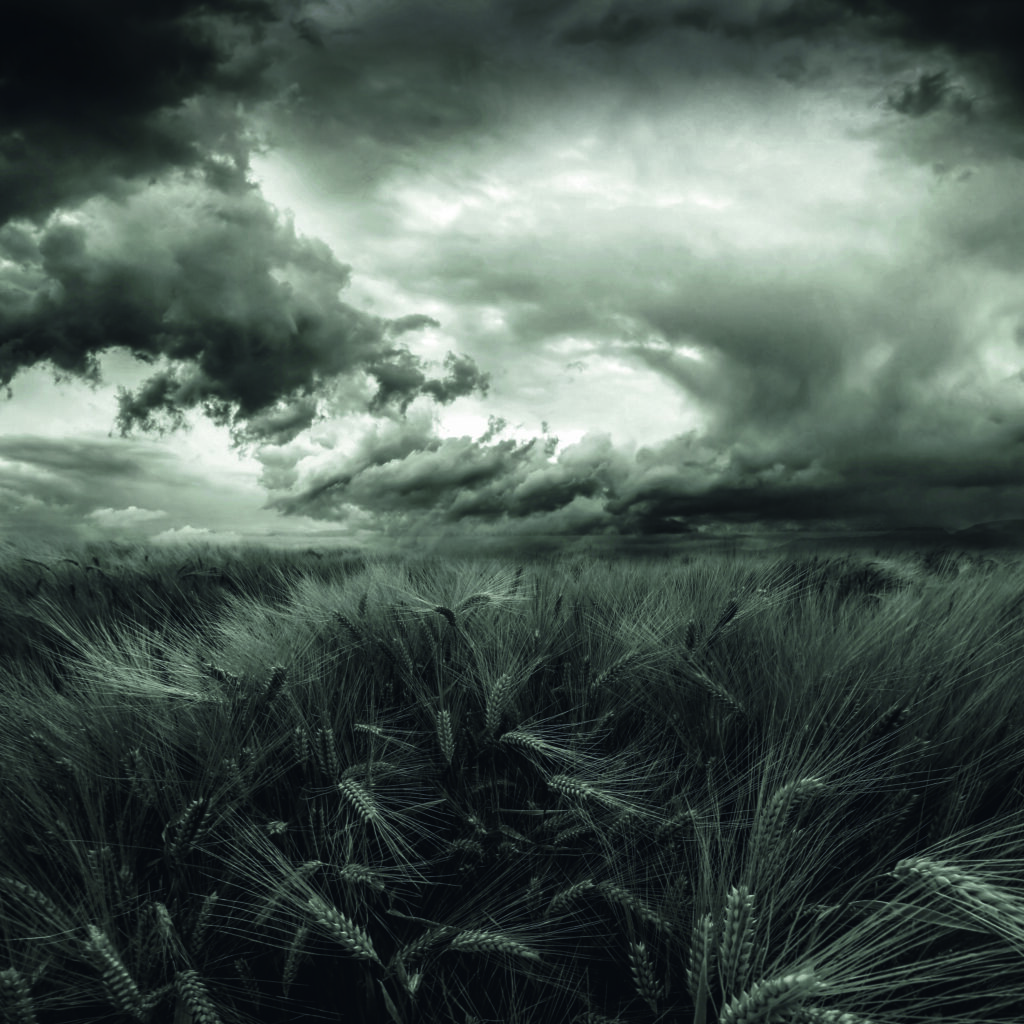 after the storm by Franziskus Pfleghart,1x.com