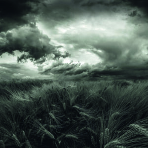 after the storm by Franziskus Pfleghart,1x.com