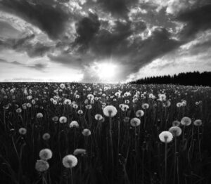 Lightbulbs by Christian Lindsten,1x.com