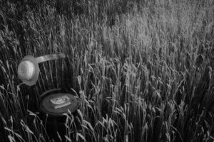 Untitled by Stephen Clough,1x.com