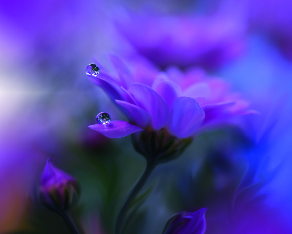 All of me by Juliana Nan, 1x.com