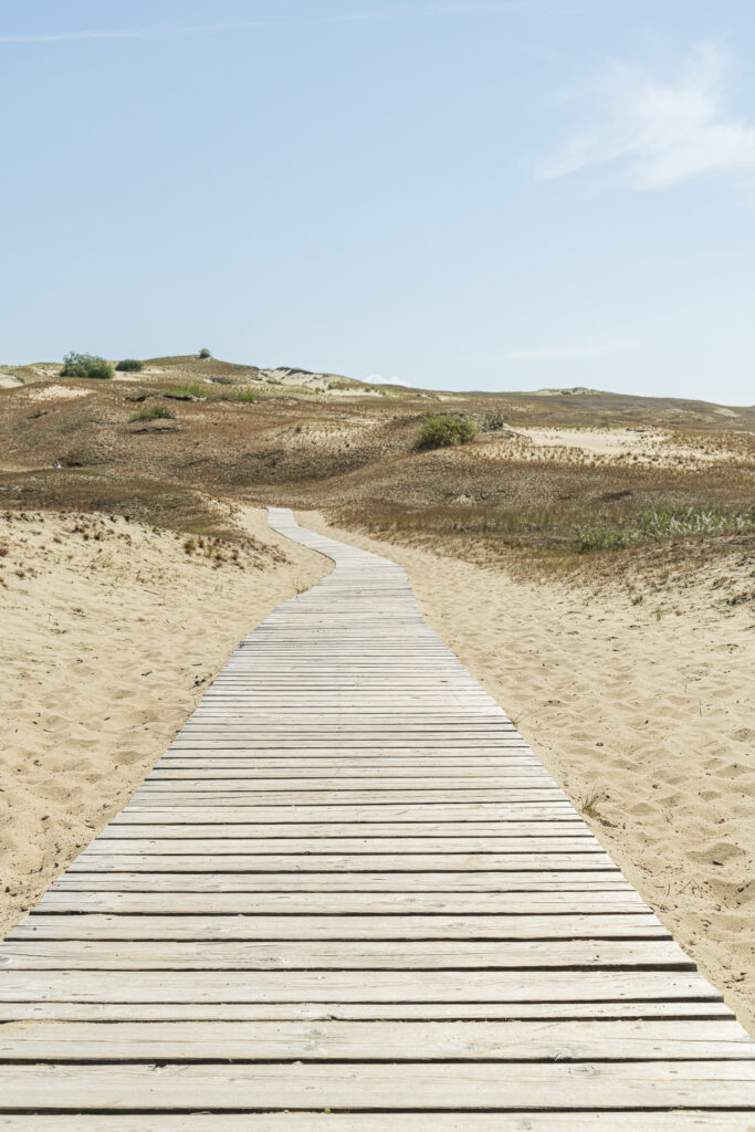 Zum Strand by Judith Grote
