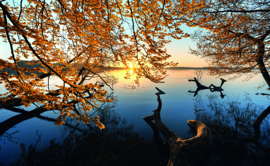 Autumn Morning by keller,1x.com