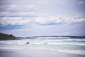North Island by Matt Williams-Ellis/HUBER IMAGES