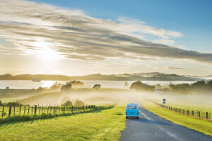 On the road by Justin Foulkes/HUBER IMAGES