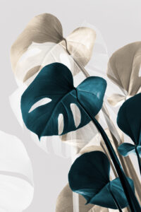 Monstera creative 10 by 1x.com studio