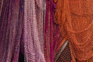 Colours by Augur Erkmen,1x.com