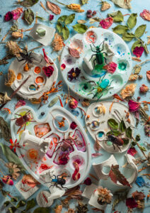 Summer palette by Dina Palette,1x.com