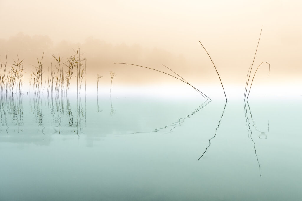 Silence by Ulrike Eisenmann,1x.com