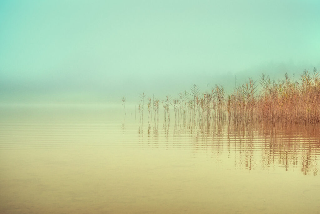 Just a peaceful moment by Ulrike Eisenmann,1x.com