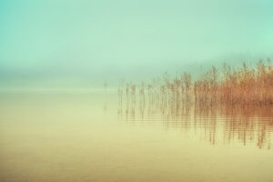 Just a peaceful moment by Ulrike Eisenmann,1x.com