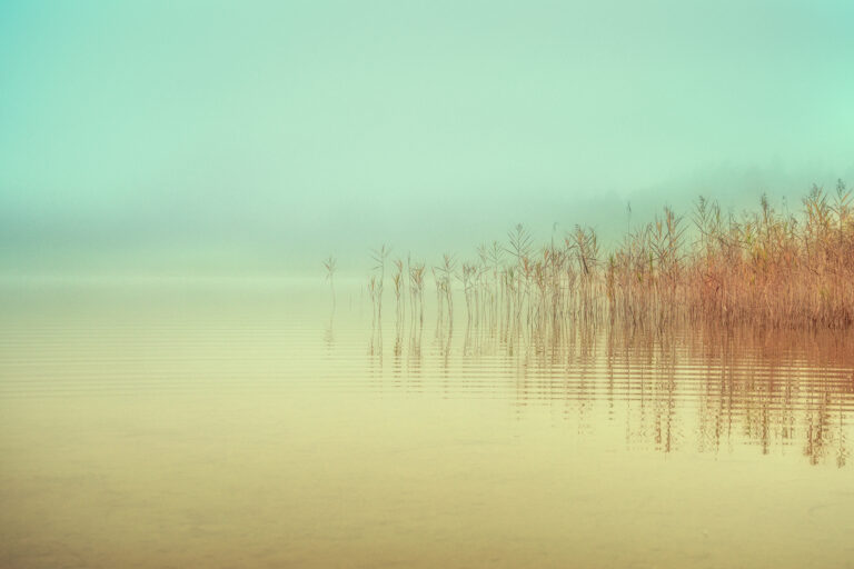 Just a peaceful moment by Ulrike Eisenmann,1x.com