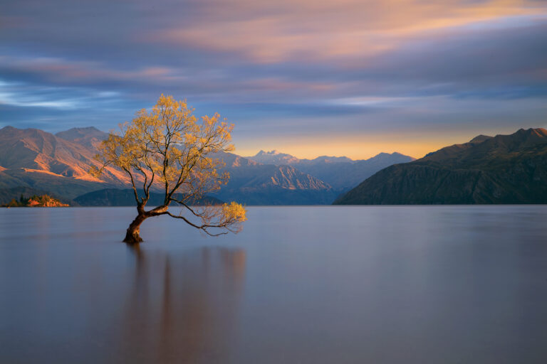 Morning Glow by Renee Doyle,1x.com