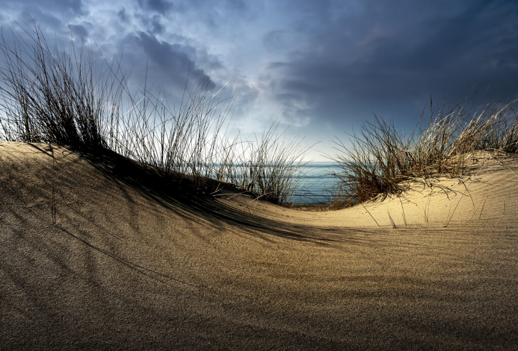 Dunes by Wim Schuurmans,1x.com