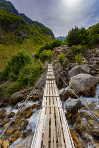 Follow me to the elves by Judith Grote