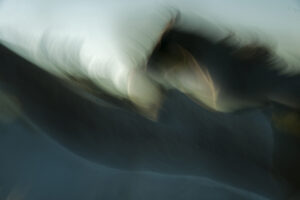 Untiteled by Milan Malovrh,1x.com