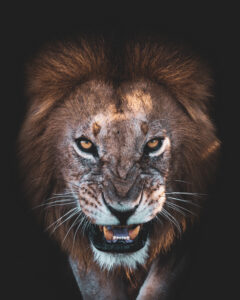The Angry Face by Faisal ALnomas