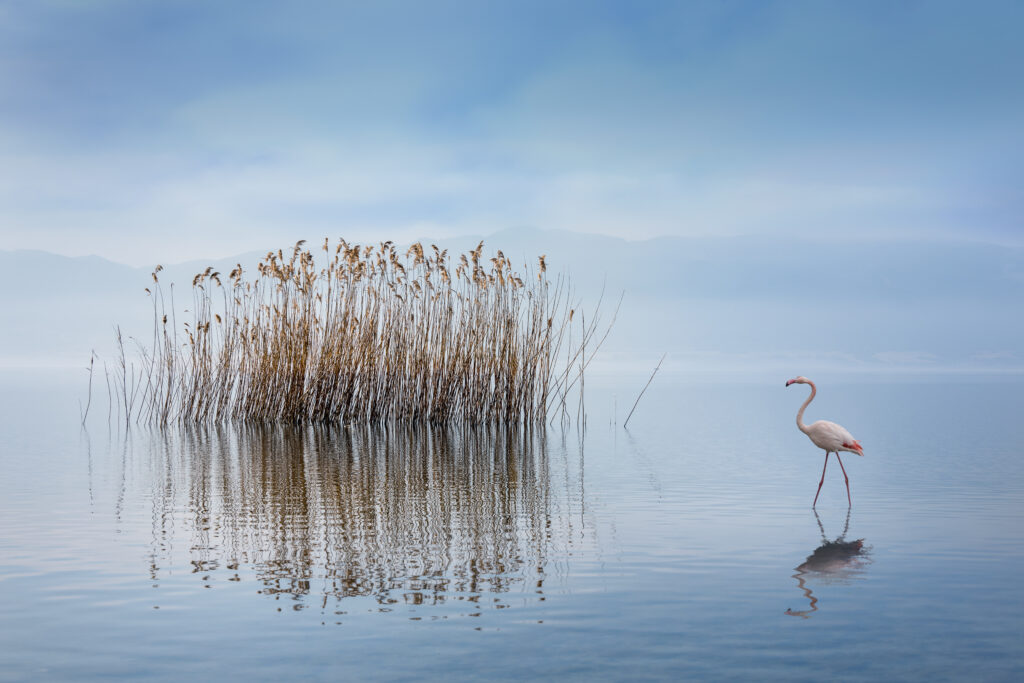 Volvi Lake by George Digalakis