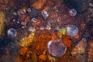 Winter Over Autumn by Paolo Giudici