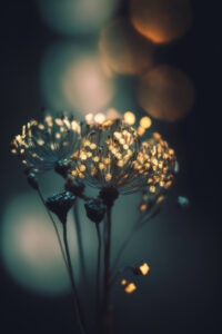 Glowing Dots By Treechild