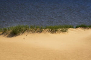 Gras line by Judith Grote