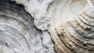 Beach Impressions No 46 by Treechild