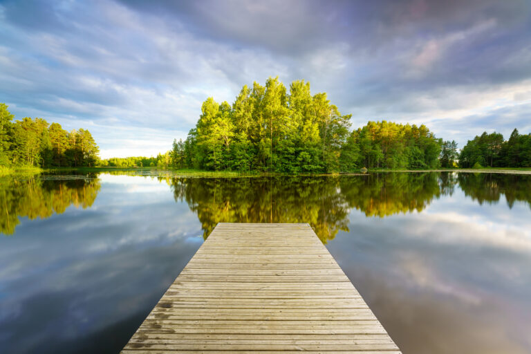 Watch the clouds pass by by Judith Grote