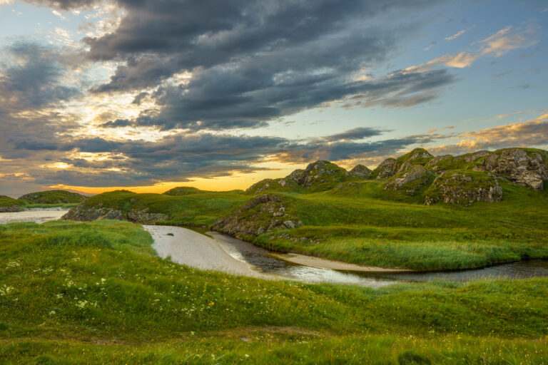 Home of elves by Judith Grote