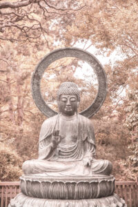 Buda by Shot by Clint