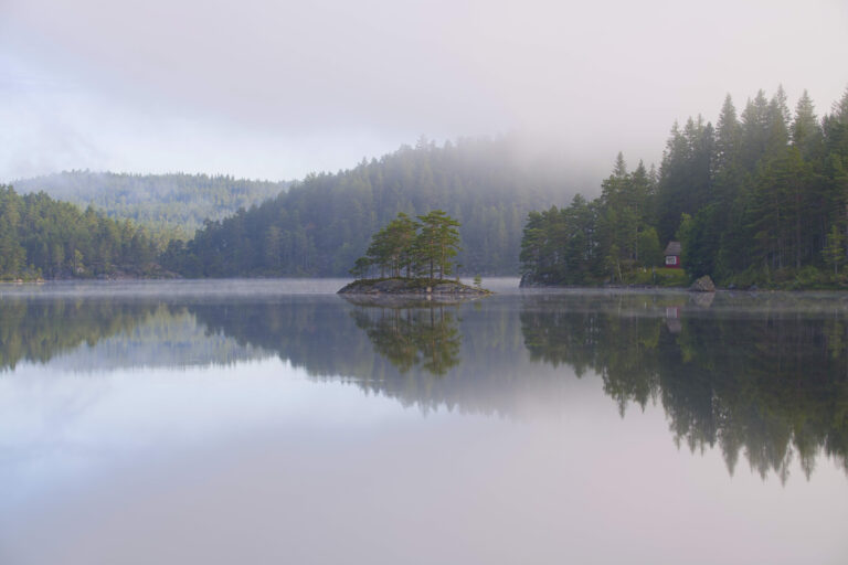 Morgennebel auf Øvre Eikeland by Wolfgang Schomberg
