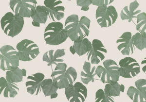 Monstera Leaves by pictufy studio