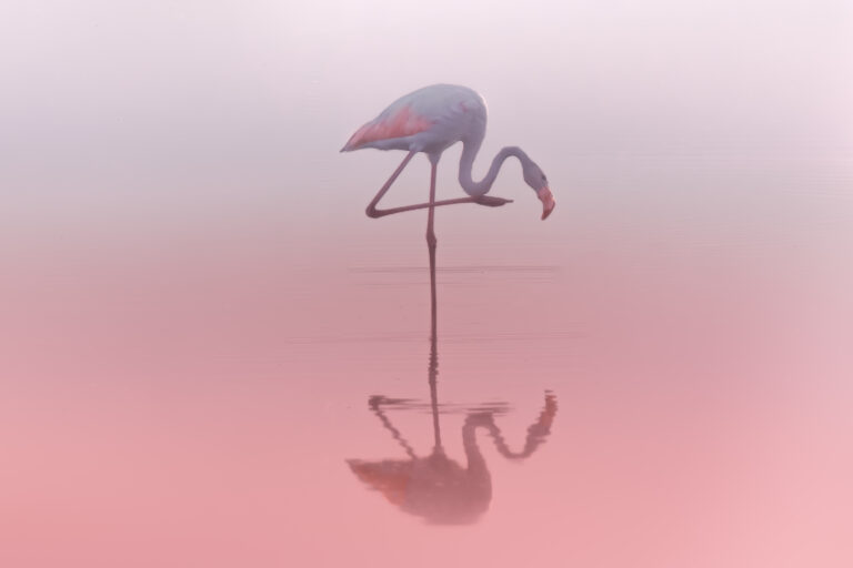 4… by Natalia Rublina