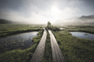 Into the foggy world by Daiki Suzuki