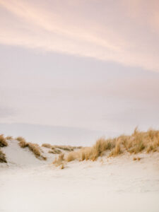 Ameland Dunes 3 by Raisa Zwart