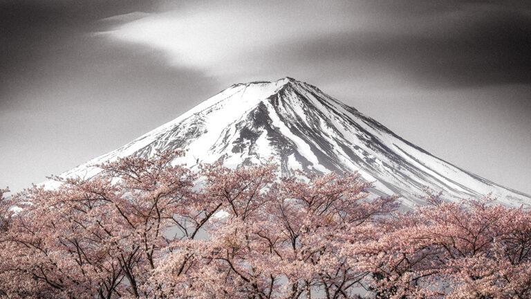 Sakura Fuji by Takeshi Mitamura