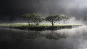 Fantasy Symbol Tree by Akira Nagase