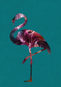 Flamingo Pink and Green by Sarah Manovski