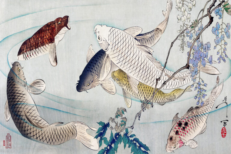 Six Carp Swimming Beneath Wisteria (1889) by Tsukioka Yoshitoshi