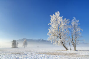 Winter im Moor by Christian Bäck