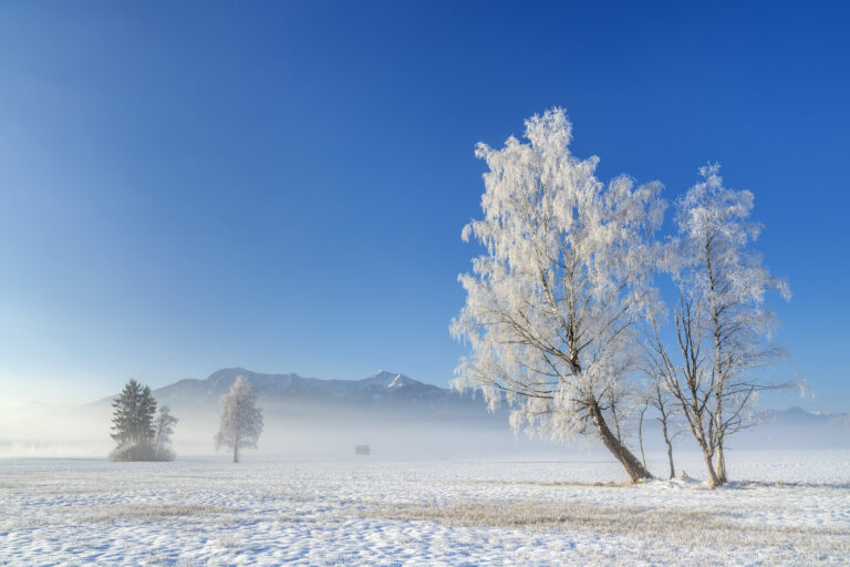 Winter im Moor by Christian Bäck