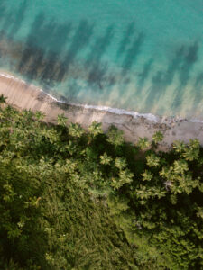 Palm Beach from Above
